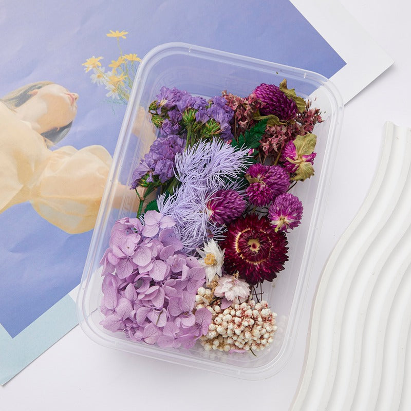 Wholesale DIY Handmade Mixed Dried Flowers Boxed Material Package Real Flowers Natural Air-dried Decorative Ornaments Dripping Glue Flower Material
